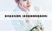 派币能买东西吗（派币能换钱吗是真的吗）