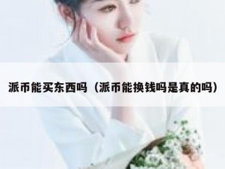 派币能买东西吗（派币能换钱吗是真的吗）