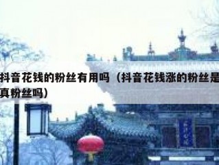 抖音花钱的粉丝有用吗（抖音花钱涨的粉丝是真粉丝吗）