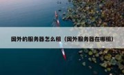 国外的服务器怎么租（国外服务器在哪租）
