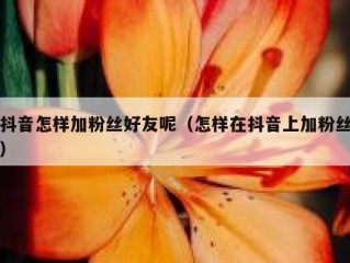 抖音怎样加粉丝好友呢（怎样在抖音上加粉丝）