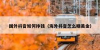 国外抖音如何挣钱（海外抖音怎么赚美金）