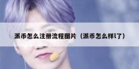 派币怎么注册流程图片（派币怎么样l了）