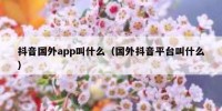 抖音国外app叫什么（国外抖音平台叫什么）
