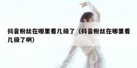 抖音粉丝在哪里看几级了（抖音粉丝在哪里看几级了啊）