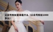 公众号粉丝量级是什么（公众号粉丝1000多么）