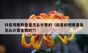 抖音观看数量是怎么计算的（抖音的观看量是怎么计算金额的?）