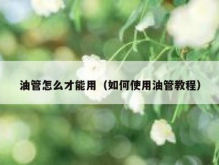 油管怎么才能用（如何使用油管教程）