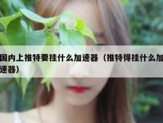 国内上推特要挂什么加速器（推特得挂什么加速器）