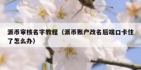 派币审核名字教程（派币账户改名后端口卡住了怎么办）