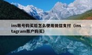 ins账号购买后怎么使用微信支付（instagram账户购买）