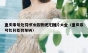 重庆限号处罚标准最新规定图片大全（重庆限号如何处罚车辆）