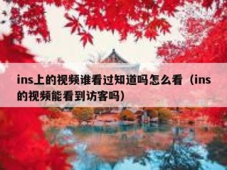 ins上的视频谁看过知道吗怎么看（ins的视频能看到访客吗）