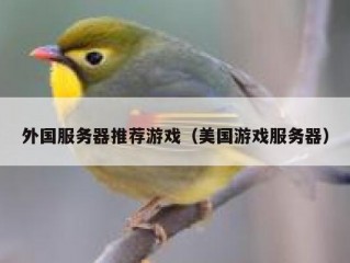 外国服务器推荐游戏（美国游戏服务器）