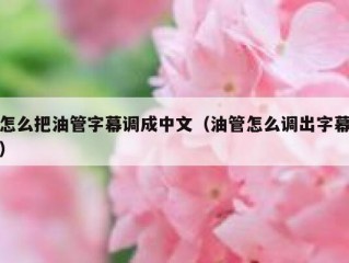 怎么把油管字幕调成中文（油管怎么调出字幕）