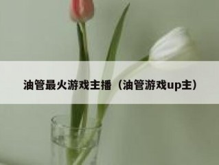 油管最火游戏主播（油管游戏up主）