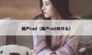 国产cad（国产cad叫什么）