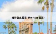 推特怎么赞赏（twitter赞赏）