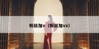 粉丝加v（粉丝加vx）