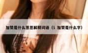 加赞是什么意思解释词语（讠加赞是什么字）