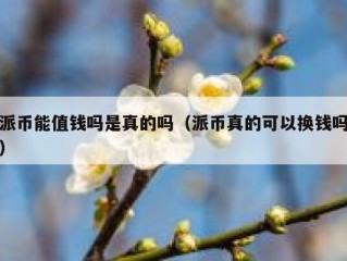 派币能值钱吗是真的吗（派币真的可以换钱吗）
