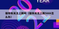 推特有关注上限吗（推特关注上限5000怎么办）