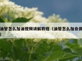油管怎么加油视频讲解教程（油管怎么加会员）