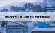 推特推文怎么发（推特怎么发推文带图片）