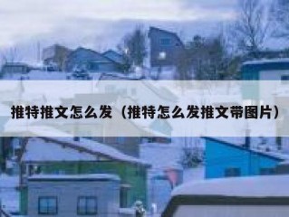 推特推文怎么发（推特怎么发推文带图片）