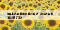 ins上怎么看谁来看过自己（ins怎么看谁浏览了我）