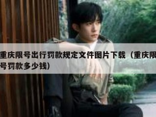 重庆限号出行罚款规定文件图片下载（重庆限号罚款多少钱）