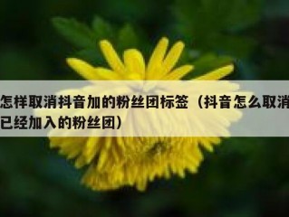 怎样取消抖音加的粉丝团标签（抖音怎么取消已经加入的粉丝团）