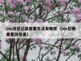 ins浏览记录查看方法有哪些（ins在哪里看浏览者）