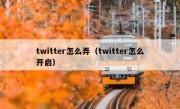 twitter怎么弄（twitter怎么开启）
