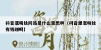 抖音涨粉丝网站是什么意思啊（抖音里涨粉丝有钱赚吗）