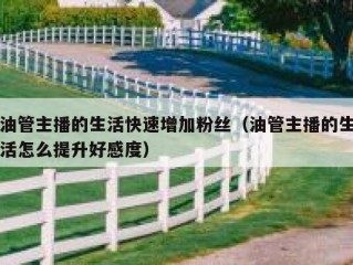 油管主播的生活快速增加粉丝（油管主播的生活怎么提升好感度）