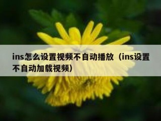 ins怎么设置视频不自动播放（ins设置不自动加载视频）
