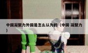 中国凝聚力外国是怎么认为的（中国 凝聚力）