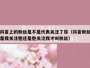 抖音上的粉丝是不是代表关注了你（抖音粉丝是我关注他还是他关注我才叫粉丝）