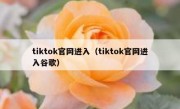 tiktok官网进入（tiktok官网进入谷歌）