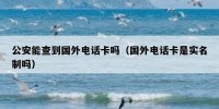 公安能查到国外电话卡吗（国外电话卡是实名制吗）