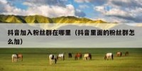 抖音加入粉丝群在哪里（抖音里面的粉丝群怎么加）