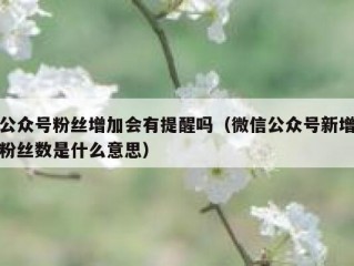 公众号粉丝增加会有提醒吗（微信公众号新增粉丝数是什么意思）