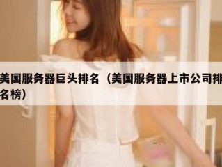 美国服务器巨头排名（美国服务器上市公司排名榜）
