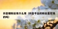 抖音赚粉丝有什么用（抖音平台的粉丝是花钱的吗）