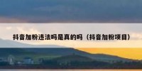 抖音加粉违法吗是真的吗（抖音加粉项目）