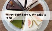 ins可以看到访客嘛手机（ins能看见访客吗）