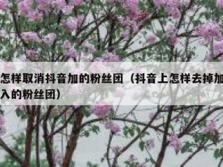 怎样取消抖音加的粉丝团（抖音上怎样去掉加入的粉丝团）