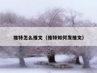 推特怎么推文（推特如何发推文）