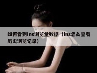 如何看到ins浏览量数据（ins怎么查看历史浏览记录）
